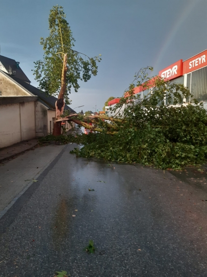 Einsätze nach Unwetter